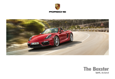 Porsche_int Boxster_2015