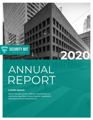 Company Annual Report