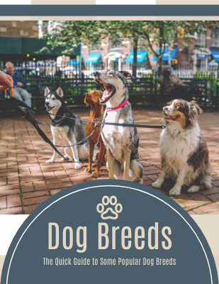 Online flipbook: Dog Breeds - Animated