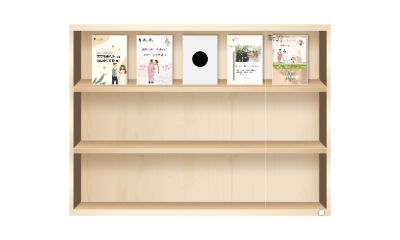 New Shelf 2