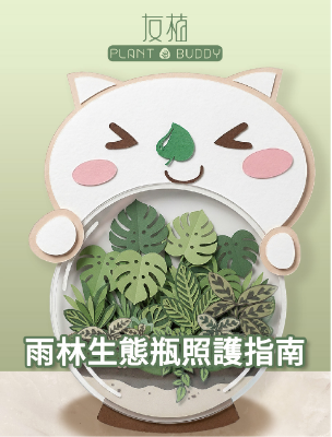 雨林生態瓶照顧指南