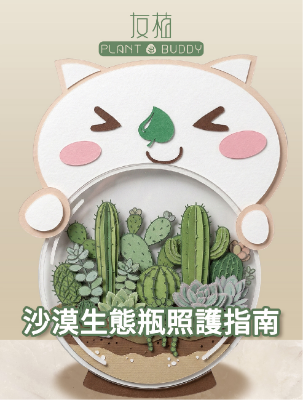 沙漠生態瓶照護指南