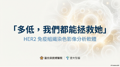 AI_HER2_Ultralow_Diagnosis