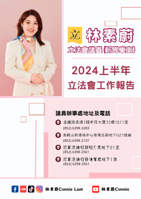 2024 上半年工作報告