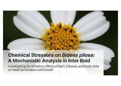 Science Experiment Visualization