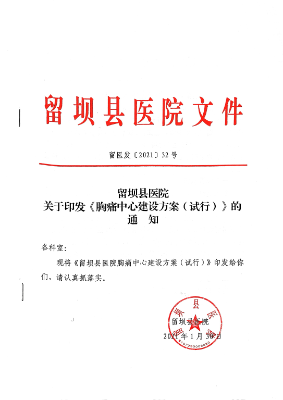 1成立胸痛中心文件