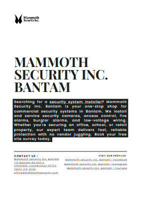Mammoth Security Inc. Bantam