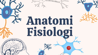 Anatomi Fisiologi Tubuh Manusia