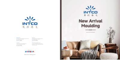 Intco PS Moulding New Arrvial 2025 Spring & Summer(1)