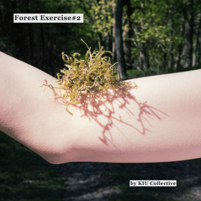 Forest Exercise 森林練習 #2 - Kiu Collective