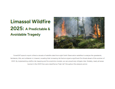 Predecting Megawildfire